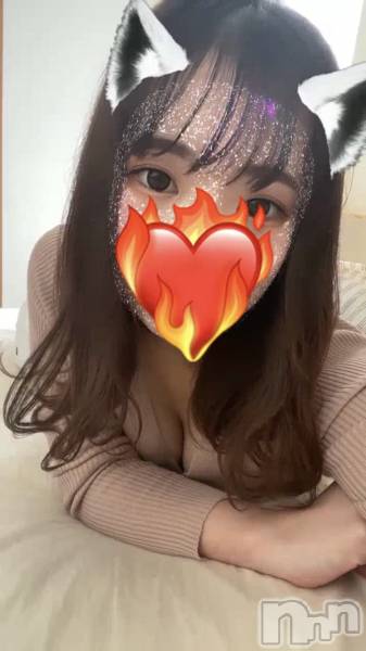 ʥå륺СVeronica-˥-(˥)  2021ǯ1229̥֥νжо