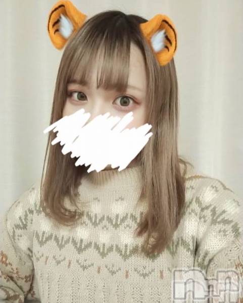 ʥå륺СVeronica-˥-(˥)  2022ǯ117̥֥νжо