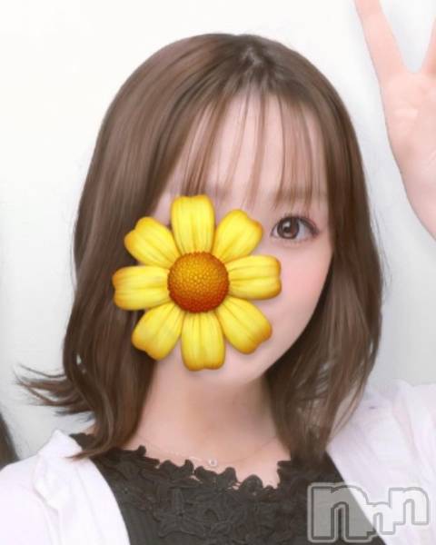 ʥå륺СVeronica-˥-(˥)  2022ǯ321̥֥νжо