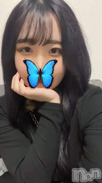 ʥå륺СVeronica-˥-(˥)  2022ǯ730̥֥νжо