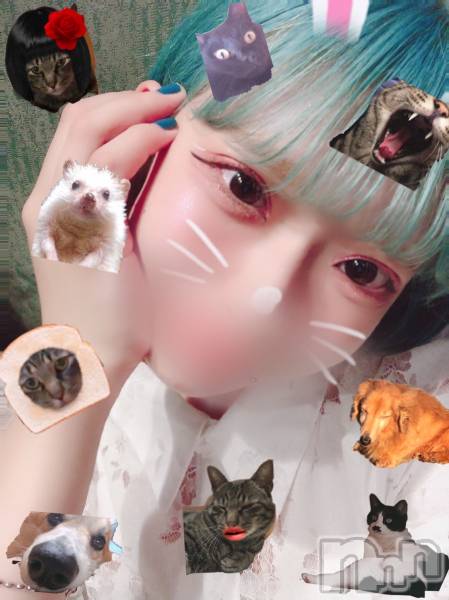 ʥå륺СVeronica-˥-(˥)  2022ǯ1118̥֥1118 1700ʬΤŹ®