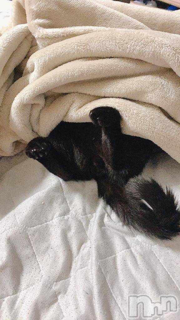 新潟ソープ新潟バニーコレクション(ニイガタバニーコレクション)カヨ(22)の2026年4月23日写メブログ「完了❕」