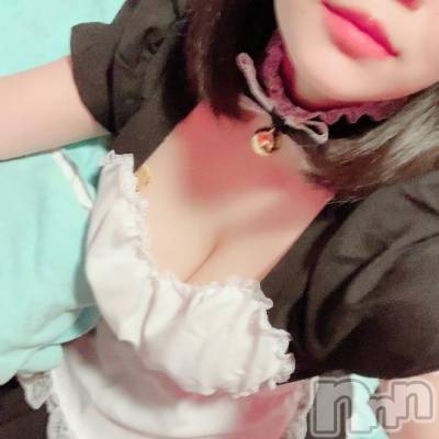 新潟ソープ 新潟バニーコレクション(ニイガタバニーコレクション) カヨ(22)の10月12日写メブログ「出勤中」