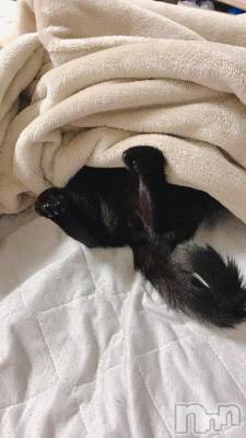 新潟ソープ 新潟バニーコレクション(ニイガタバニーコレクション) カヨ(22)の4月23日写メブログ「完了❕」