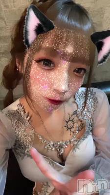 104👻  ‪‪❤︎