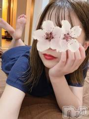 新潟メンズエステMYIRO　-マイロ-(マイロ) おとは(25)の4月12日写メブログ「お花見🌸」