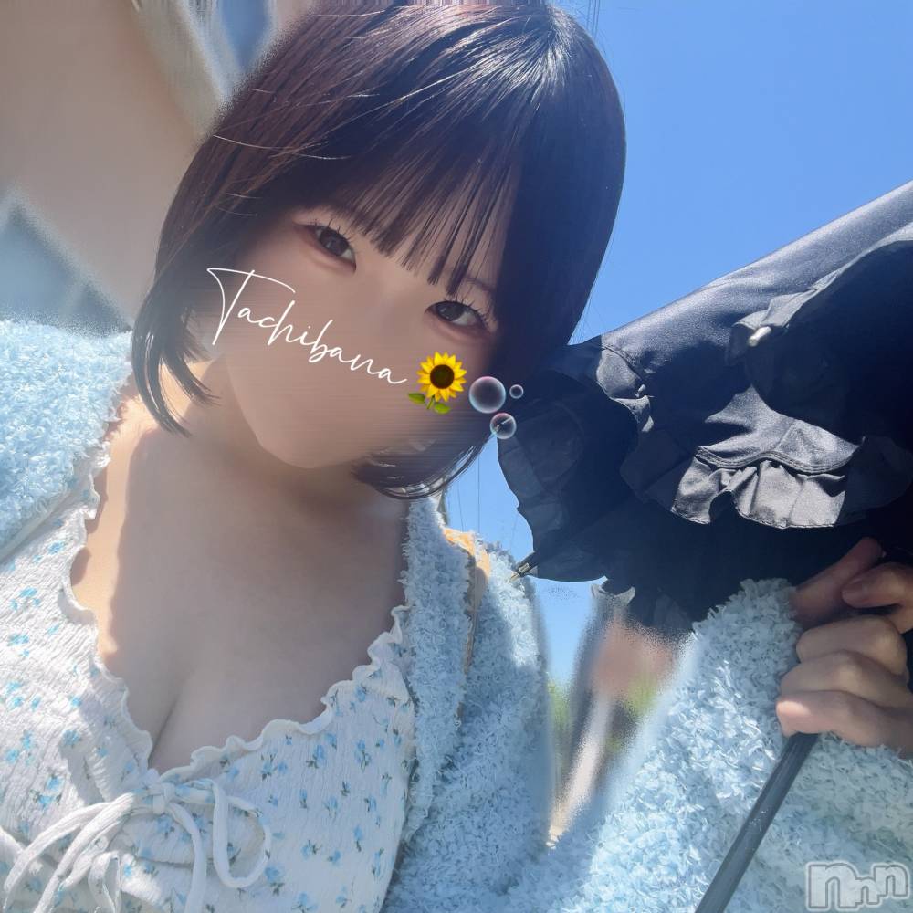 新潟風俗エステGRACE　新潟(グレース　ニイガタ) 立花【たちばな】(20)の6月23日写メブログ「✅チェック46❣️🙇🏻‍♀️՞」