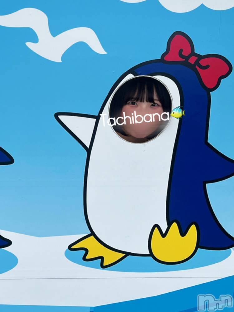 新潟デリヘルGRACE　新潟(グレース　ニイガタ) 立花【たちばな】(20)の10月27日写メブログ「不機嫌😠‼️☔️🌧」