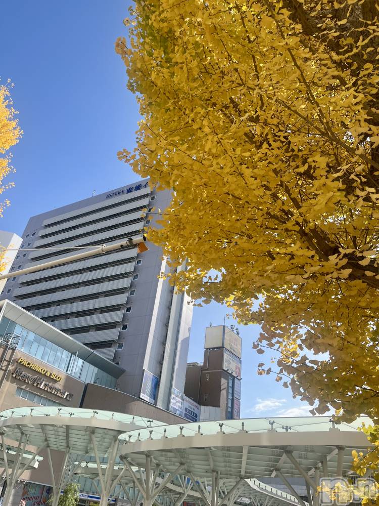 新潟デリヘルGRACE　新潟(グレース　ニイガタ) 立花【たちばな】(20)の11月16日写メブログ「だからこそーっ❕」