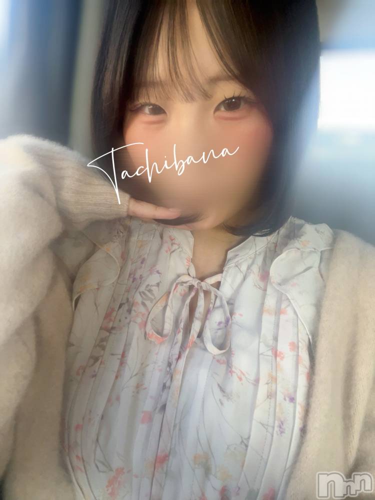 新潟デリヘルGRACE　新潟(グレース　ニイガタ) 立花【たちばな】(20)の12月7日写メブログ「気づいてる？🥺🎀」