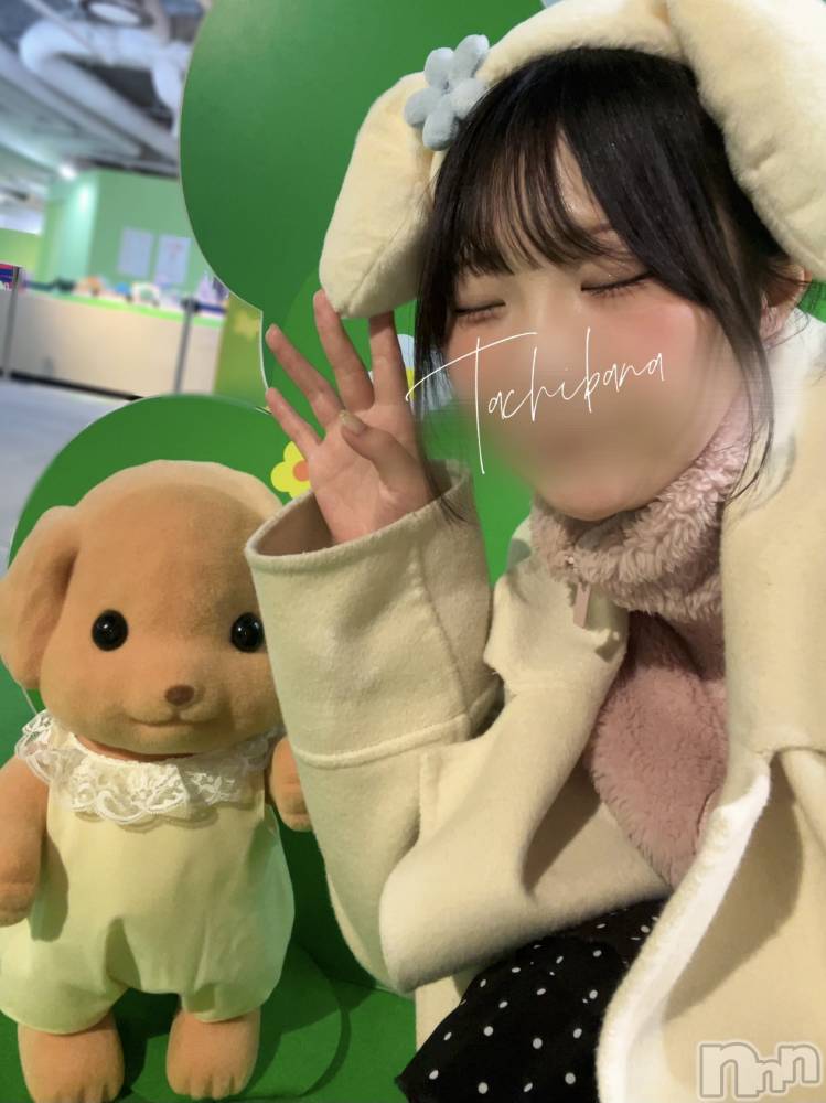 新潟デリヘルGRACE　新潟(グレース　ニイガタ) 立花【たちばな】(20)の1月6日写メブログ「🍀癒＆幸💗Time❕」