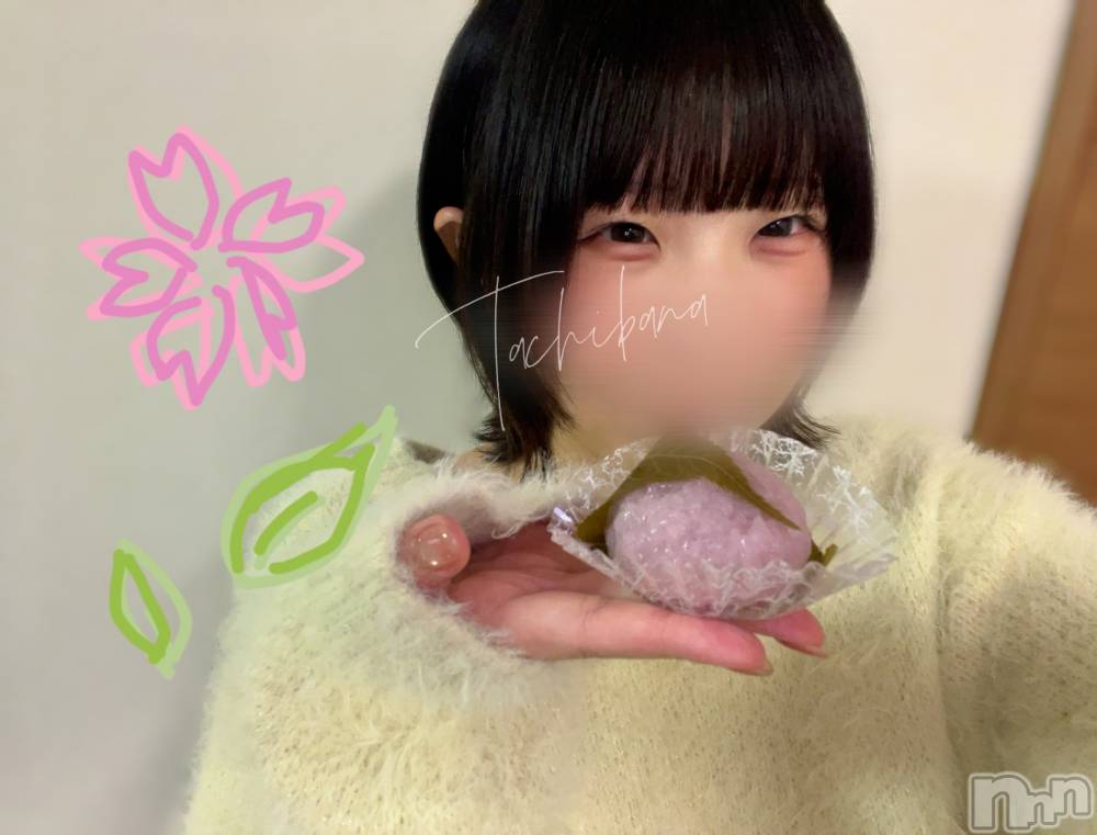 新潟デリヘルGRACE　新潟(グレース　ニイガタ) 立花【たちばな】(20)の3月19日写メブログ「⬇️春感じ中❕🍡🌸」