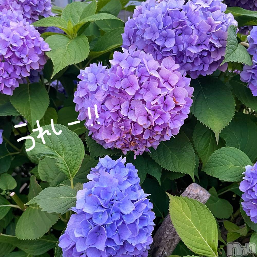 新潟デリヘルGRACE　新潟(グレース　ニイガタ) 立花【たちばな】(20)の6月19日写メブログ「今月の🈳枠❕」