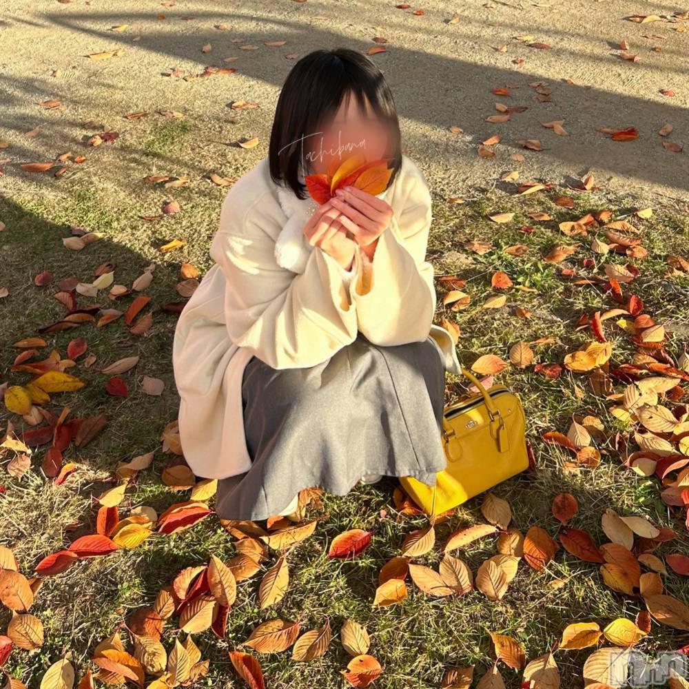 新潟デリヘルGRACE　新潟(グレース　ニイガタ) 立花【たちばな】(20)の10月22日写メブログ「🍁ホッとしよ💭😌」