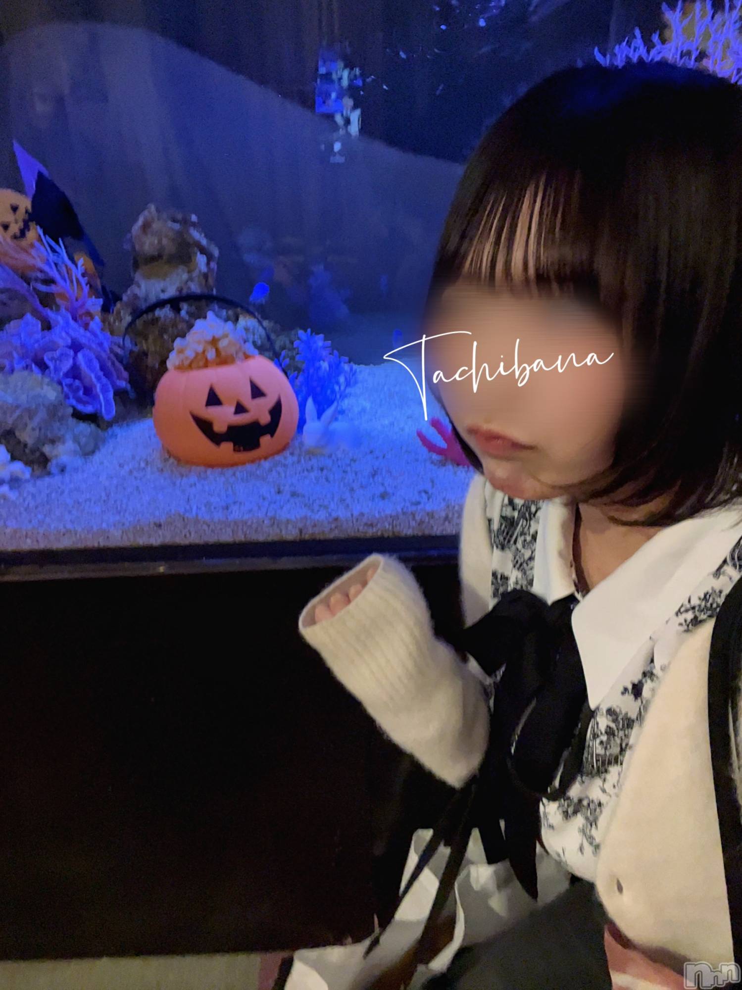 新潟デリヘルGRACE　新潟(グレース　ニイガタ)立花【たちばな】(20)の2025年10月29日写メブログ「10月最後です🥺🌼」