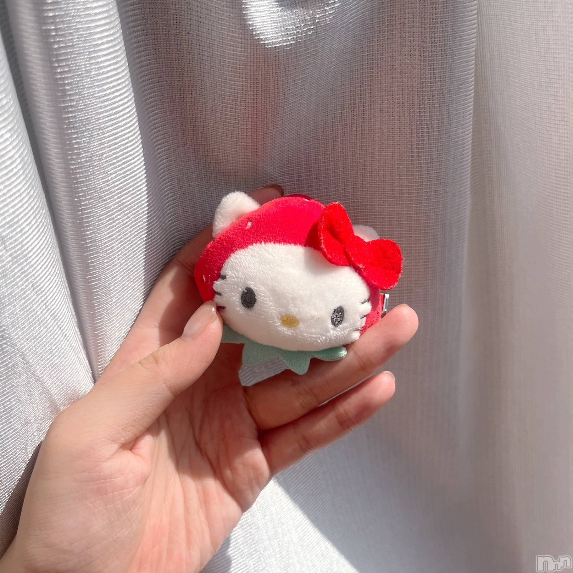 新潟デリヘルGRACE　新潟(グレース　ニイガタ)立花【たちばな】(20)の2025年11月7日写メブログ「🍀お知らせ🩷」