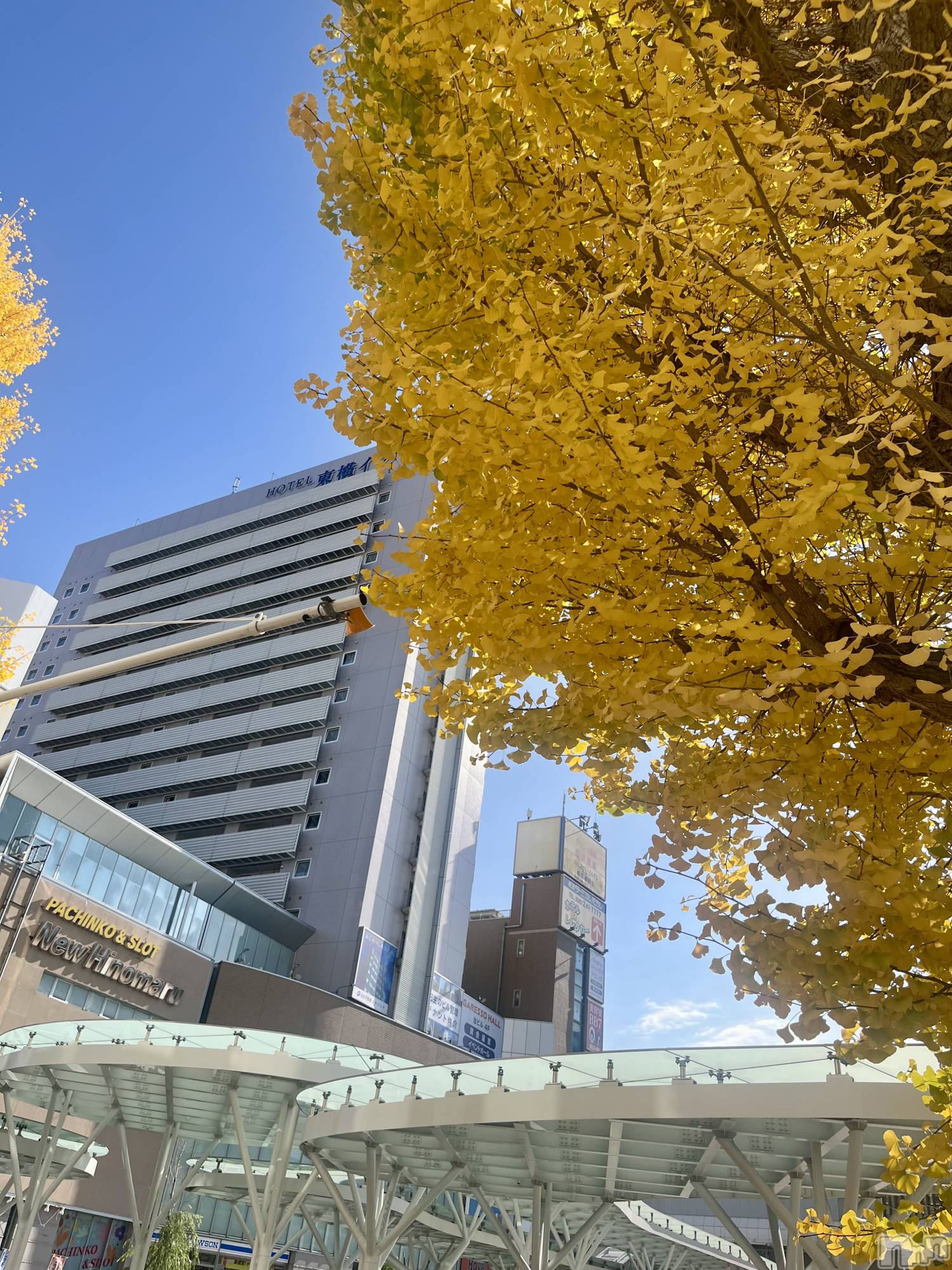 新潟デリヘルGRACE　新潟(グレース　ニイガタ)立花【たちばな】(20)の2025年11月16日写メブログ「だからこそーっ❕」