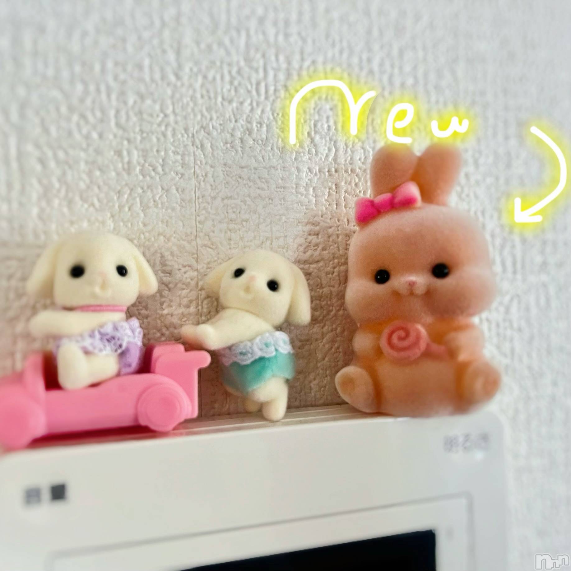 新潟デリヘルGRACE　新潟(グレース　ニイガタ)立花【たちばな】(20)の2025年12月12日写メブログ「💡🈳枠おしらせ🎀🪄」