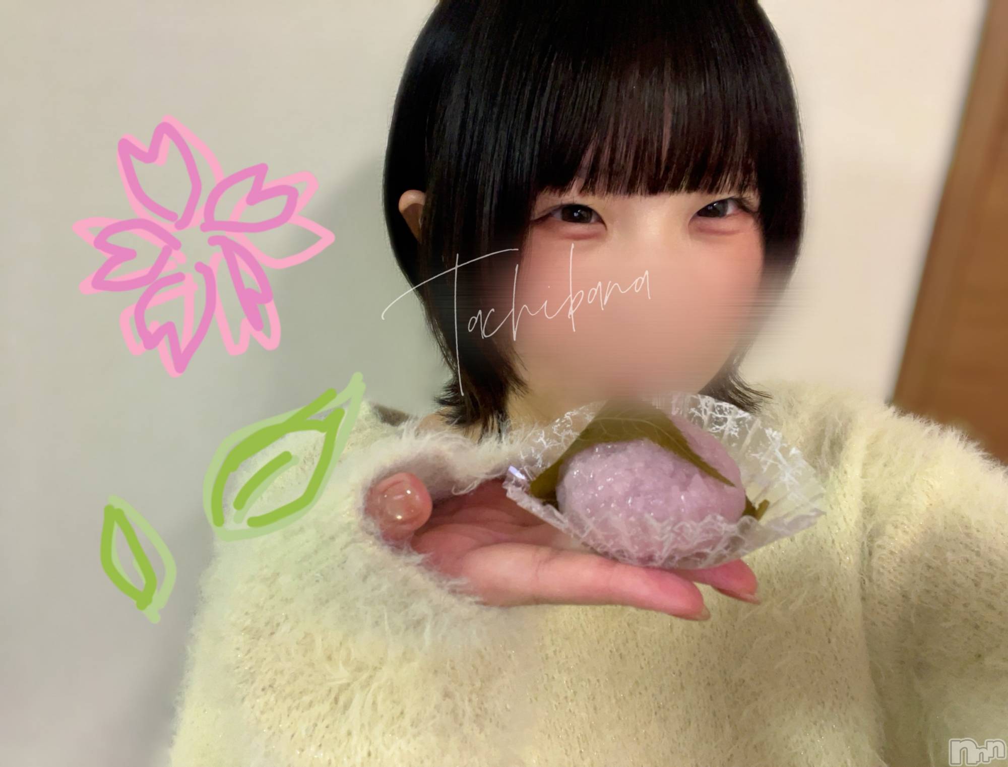 新潟デリヘルGRACE　新潟(グレース　ニイガタ)立花【たちばな】(20)の2026年3月19日写メブログ「⬇️春感じ中❕🍡🌸」