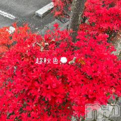 新潟デリヘルGRACE　新潟(グレース　ニイガタ) 立花【たちばな】(20)の11月11日写メブログ「今日のほっこり🍀* ゚」