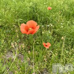 新潟デリヘルGRACE　新潟(グレース　ニイガタ) 立花【たちばな】(20)の4月24日写メブログ「日々」