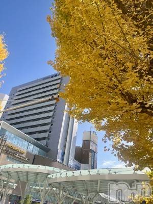 新潟デリヘル GRACE　新潟(グレース　ニイガタ) 立花【たちばな】(20)の11月16日写メブログ「だからこそーっ❕」