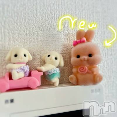 新潟デリヘル GRACE　新潟(グレース　ニイガタ) 立花【たちばな】(20)の12月12日写メブログ「💡🈳枠おしらせ🎀🪄」