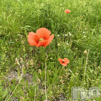 新潟デリヘル GRACE　新潟(グレース　ニイガタ) 立花【たちばな】(20)の4月24日写メブログ「日々」