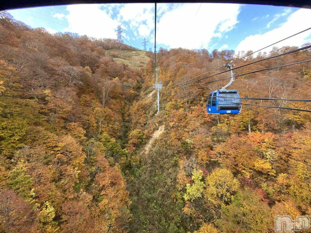 ��Į���ʥå��������륺�С�L'asile(�饸����) MANAKA��11��2���̥�֥�����🍁��