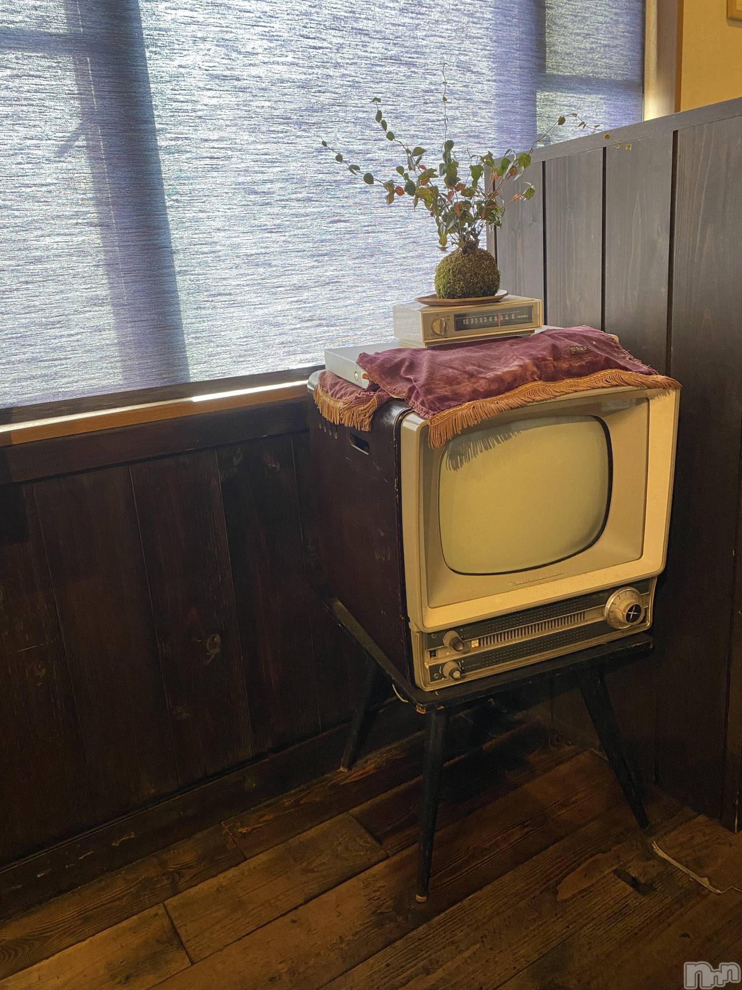 Įʥå륺СL'asile(饸) 2022ǯ33̥֥֤פ֤Ǥ