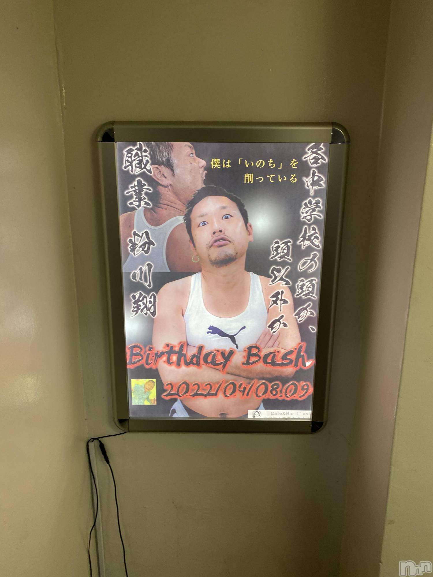 Įʥå륺СL'asile(饸) 2022ǯ49ֺ̥֥⡪