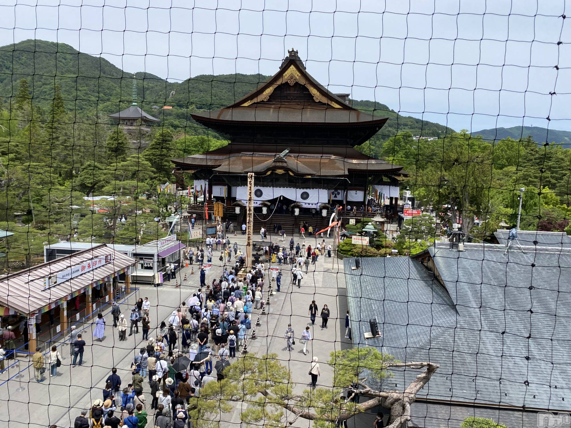 Įʥå륺СL'asile(饸) 2022ǯ63ָ̥֥泫Ģ(^_^)Ρ