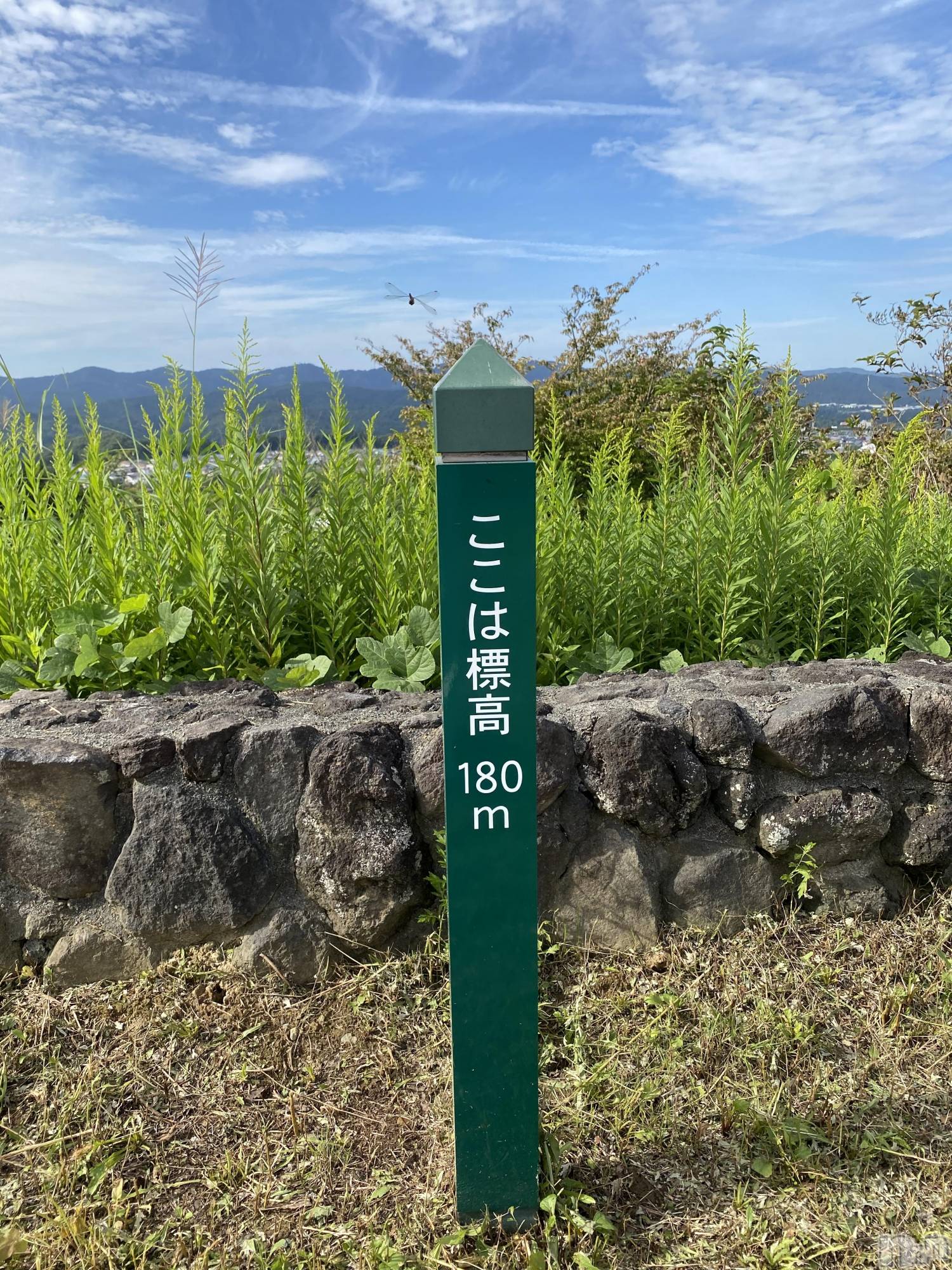 Įʥå륺СL'asile(饸) 2022ǯ927̥֥