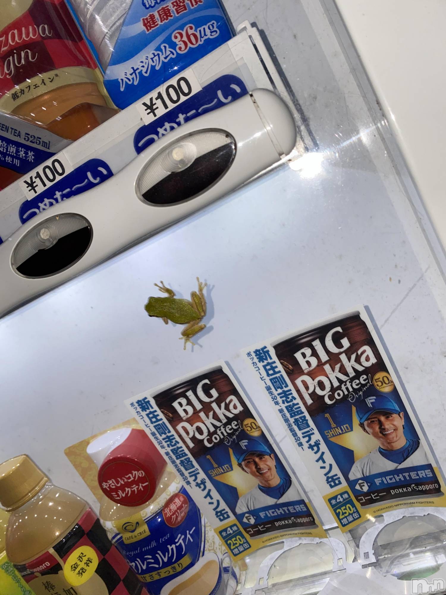 Įʥå륺СL'asile(饸) 2022ǯ105̥֥߱