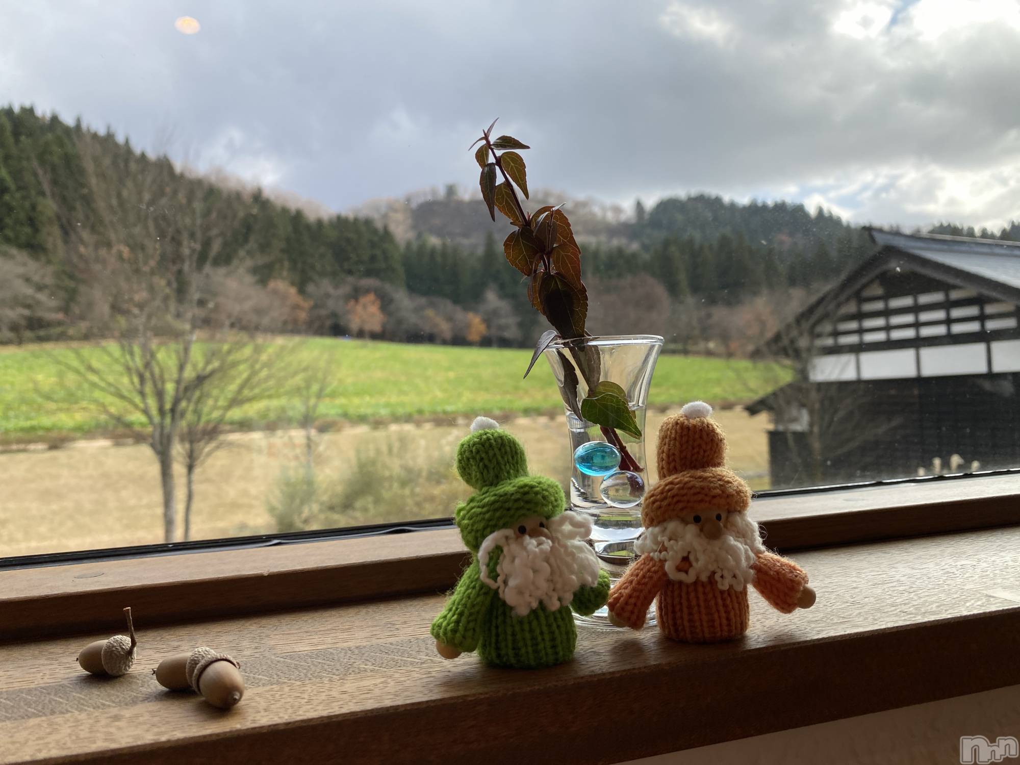 Įʥå륺СL'asile(饸) 2022ǯ1129̥֥Ĺפʵ