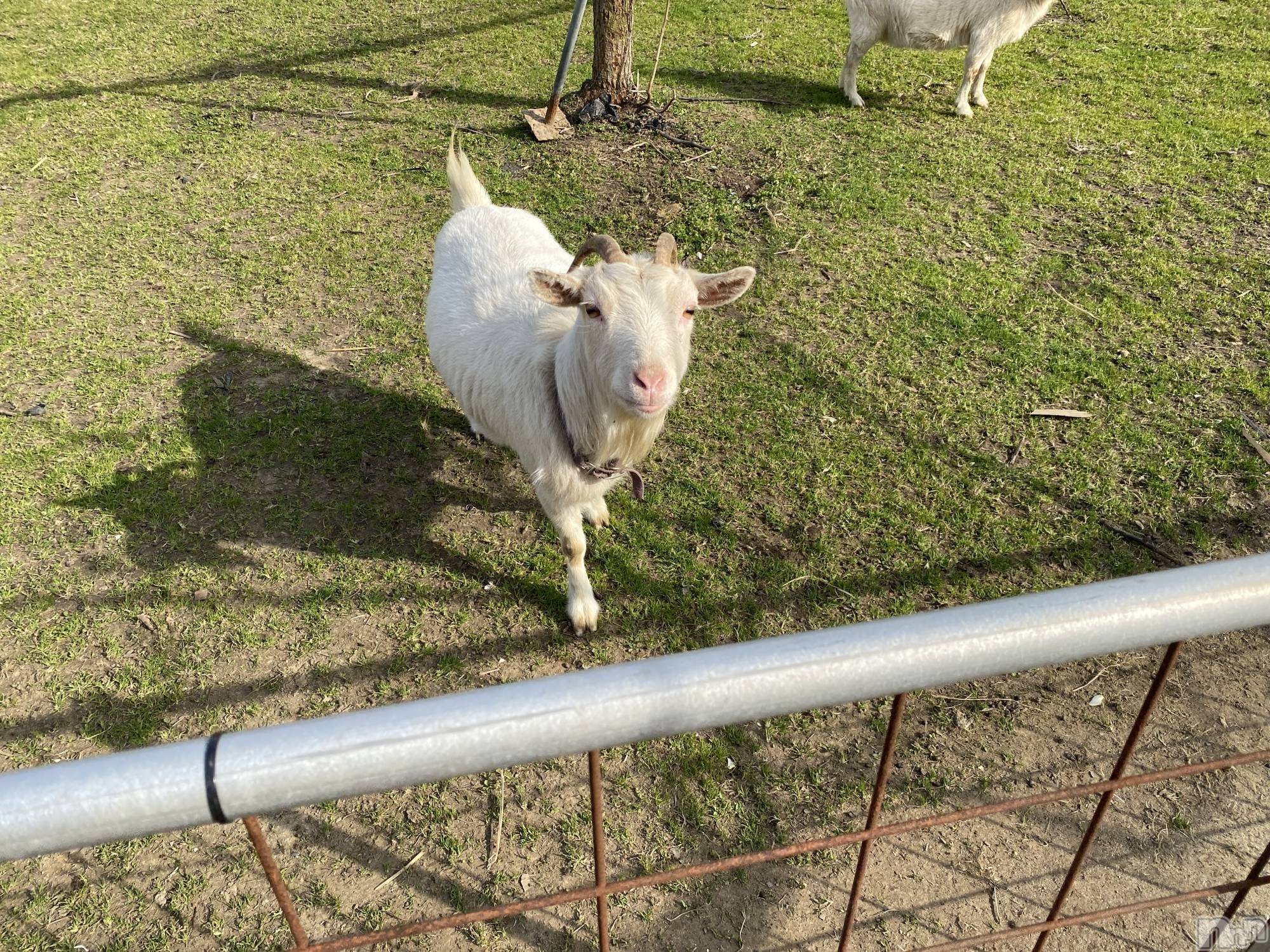 Įʥå륺СL'asile(饸) 2023ǯ316̥֥֤äۡ