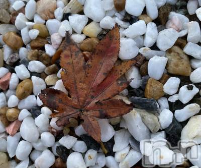 Įʥå륺СL'asile(饸) MANAKA(99)1112ֽ̥֥Ĥ🍁