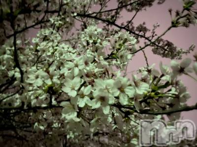 Įʥå륺СL'asile(饸) MANAKA(99)414̥֥֤ä🥲