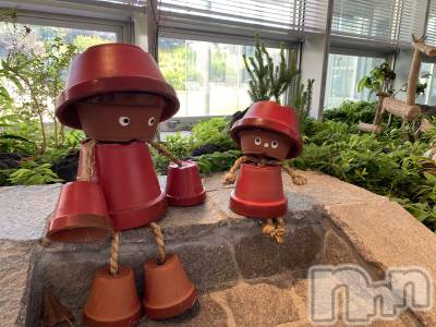 Įʥå륺СL'asile(饸) MANAKA(99)71̥֥֤ʤ󤫵פ֤ˡ