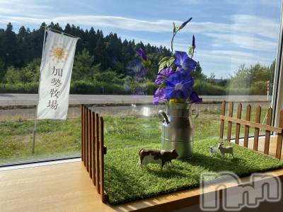 Įʥå륺СL'asile(饸) MANAKA(99)75ֺ̥֥ϵפ֤ˡ