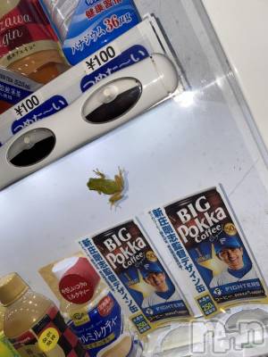 Įʥå륺СL'asile(饸) MANAKA(99)105̥֥߱