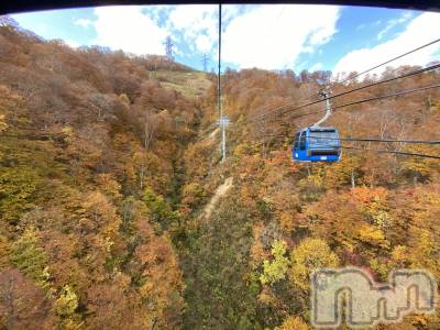 Įʥå륺СL'asile(饸) MANAKA(99)112̥֥🍁