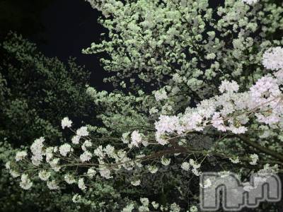 Įʥå륺СL'asile(饸) MANAKA(99)48̥֥֤ɤκƤʤ󤫤