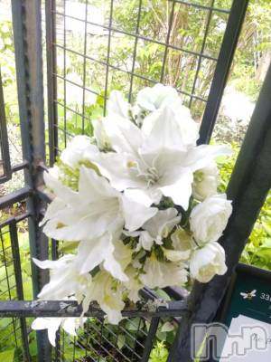 松本発デリヘル 松本人妻隊(マツモトヒトヅマタイ) ふみの(43)の4月17日写メブログ「急に酷ーい😖」