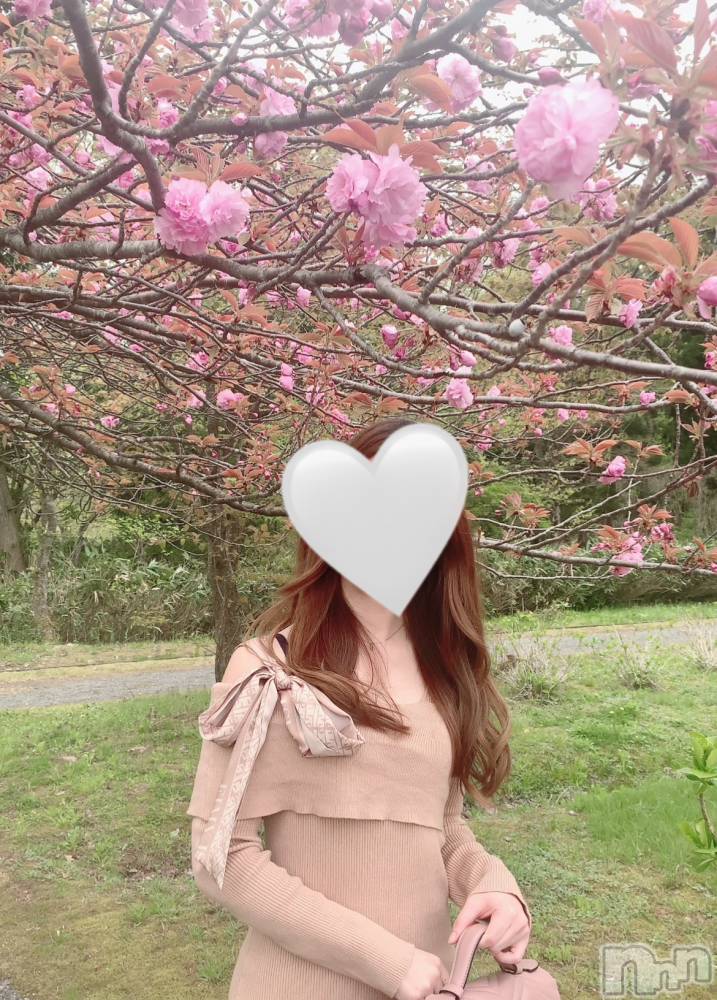 㡦ȯĥꥢ󥺥Levre(졼֥)  ߤ1023̥֥֤뤯