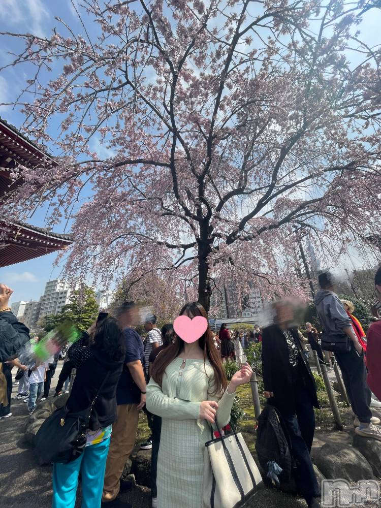 㡦ȯĥꥢ󥺥Levre(졼֥)  ߤ329ֺ̥֥ǯʚ🌸ɞ