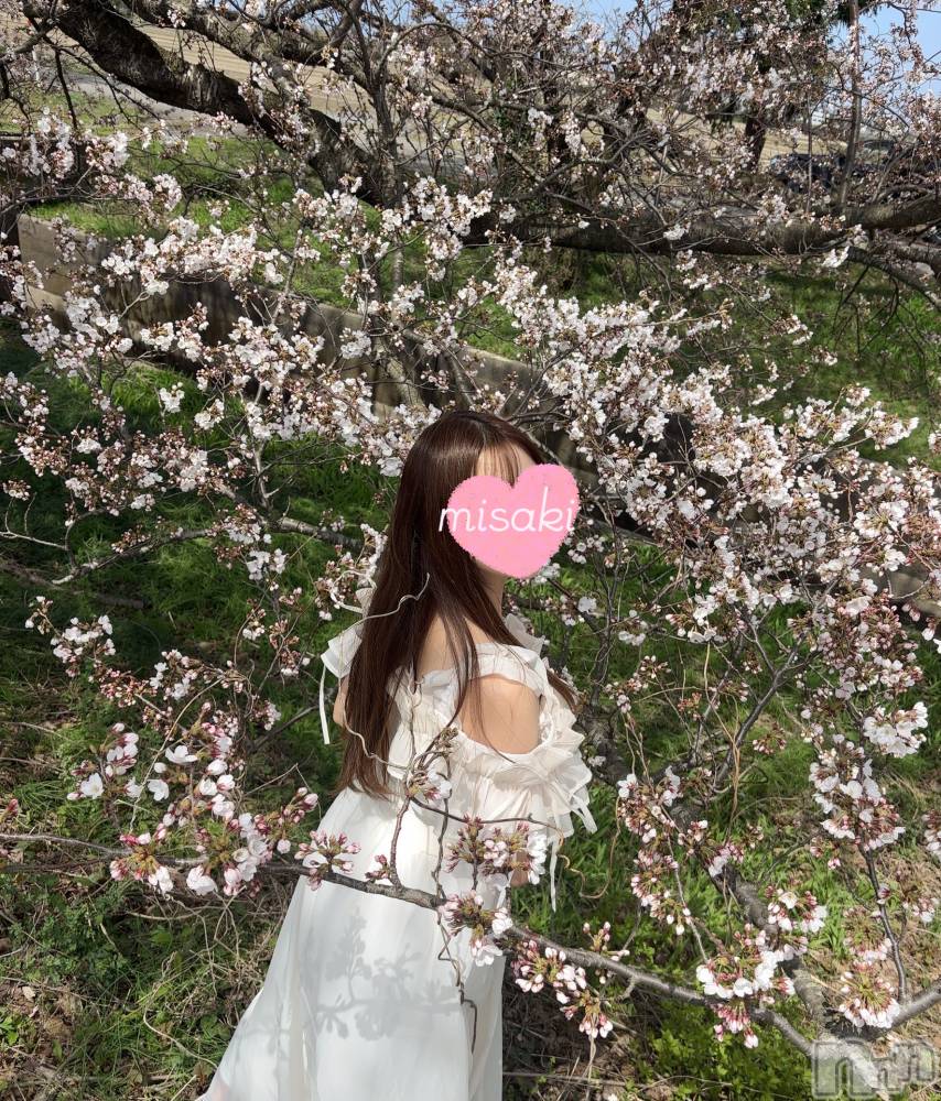 㡦ȯĥꥢ󥺥Levre(졼֥)  ߤ411ֺ̥֥Ȥߤ🌸*