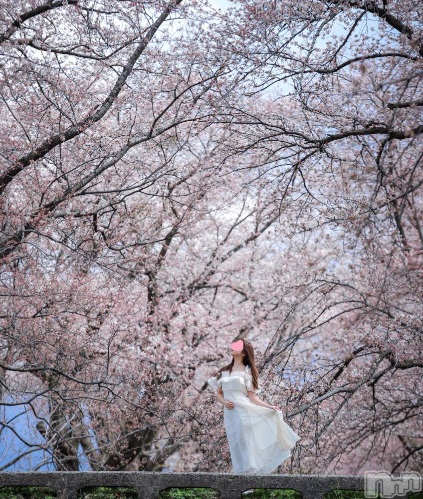 㡦ȯĥꥢ󥺥Levre(졼֥)  ߤ415̥֥֥ϥޤȥϥޤ❤️