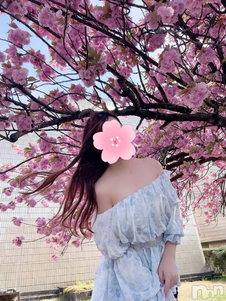 㡦ȯĥꥢ󥺥Levre(졼֥)  ߤ427̥֥֥˥塼ץ❣️