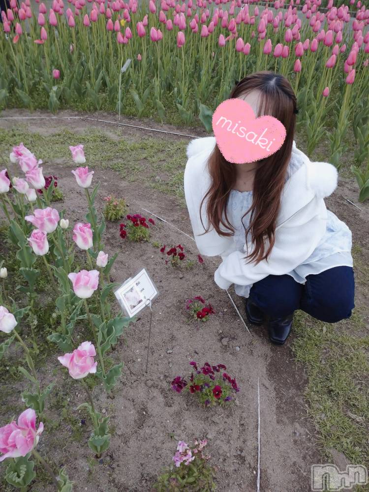 㡦ȯĥꥢ󥺥Levre(졼֥)  ߤ53̥֥֥塼åפ̾🌷❤️